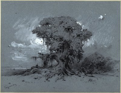 Alter Baum von Eduard Hildebrandt