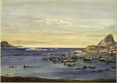 Bucht von Rio de Janeiro von Eduard Hildebrandt