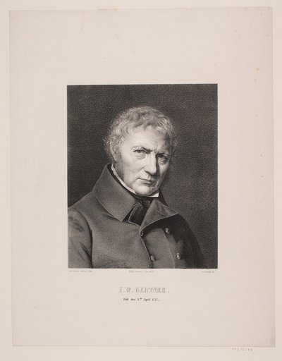 Blokdrejer J. W. Gertner von Edvard Fortling