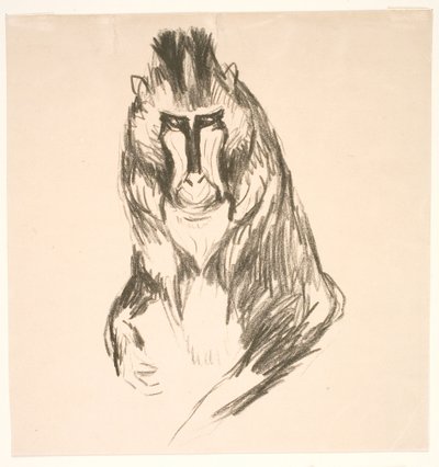 Gorilla (Mandrill) von Edvard Munch