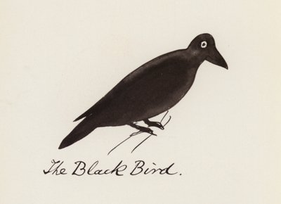 Das Vogelbuch: Der schwarze Vogel von Edward (after) Lear