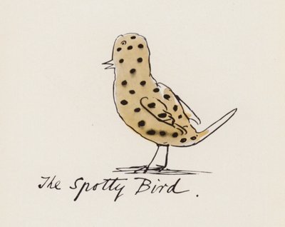 Edward Lear, Das Vogelbuch: Der Gefleckte Vogel von Edward (after) Lear