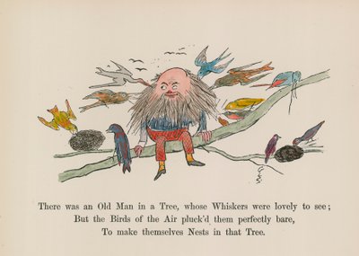 Es war ein alter Mann in einem Baum, dessen Schnurrbart schön anzusehen war von Edward (after) Lear