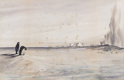 Die Kaiserpinguin-Kolonie, Cape Crozier von Edward Adrian Wilson