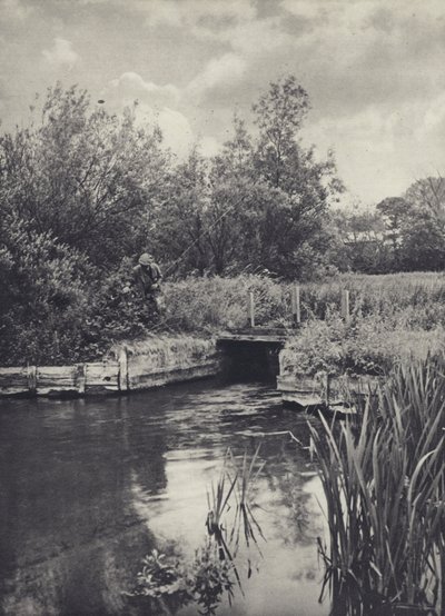 Ein kleiner Träger am Ramsbury Water von Edward Alfred Barton