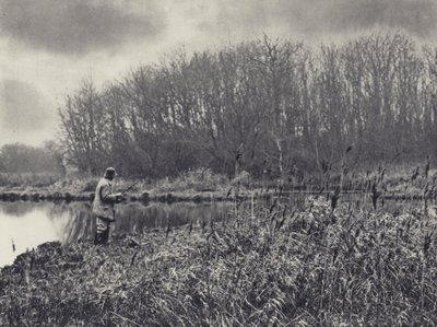 Spinnen in Leckford von Edward Alfred Barton