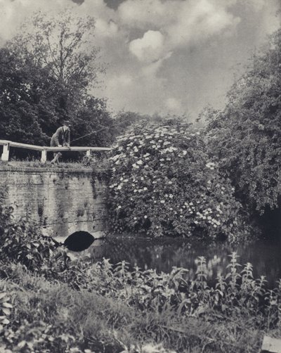 Die Kanalbrücke über die Frays, Uxbridge von Edward Alfred Barton