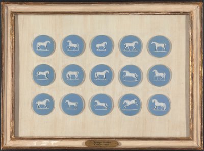 Pferdestudien in Relief, nach George Stubbs von Edward Burch