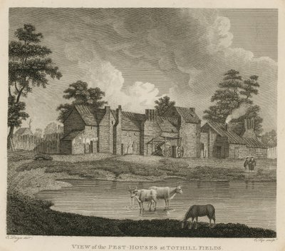Ansicht der Pesthäuser in Tothill Fields, London von Edward Dayes