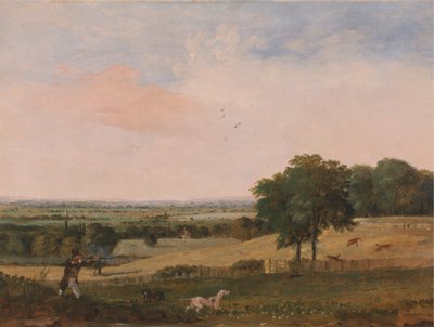 Rebhuhnjagd von Edward Duncan