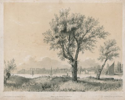 Weiden an der Themse bei Battersea von Edward Hassell