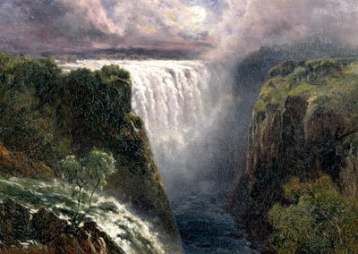 Ein Blick auf die Victoriafälle von Edward Henry Holder