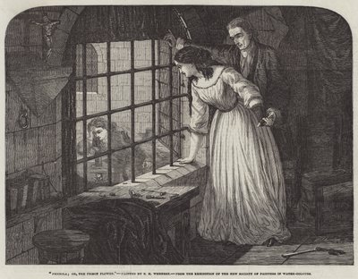 Picciola; oder, die Gefängnisblume von Edward Henry Wehnert
