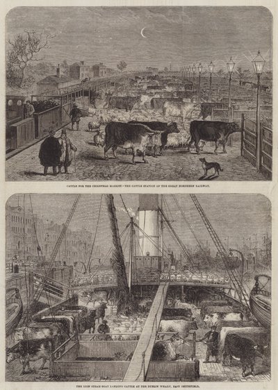 Vieh für den Weihnachtsmarkt von Edward Hull