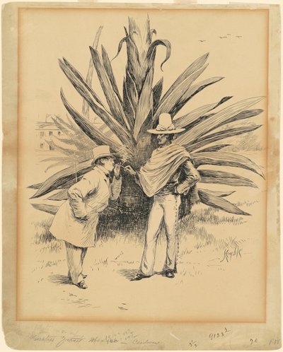 Kaktus aus Mexiko von Edward Kemble