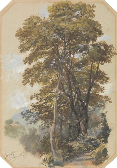 Corpo di Cava, 28. Juni 1838 von Edward Lear