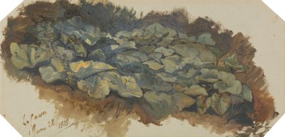 La Cava von Edward Lear