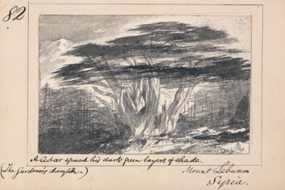 Berg Libanon, Syrien - Eine Zeder breitet seine dunkelgrünen Schichten von Schatten aus von Edward Lear
