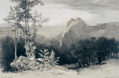 Ansichten von Rom und seiner Umgebung: Civitella di Subiaco von Edward Lear