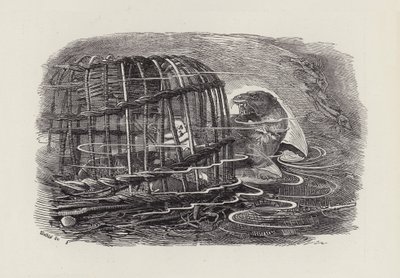 Illustration für Die Wasserbabys von Charles Kingsley von Edward Linley (after) Sambourne