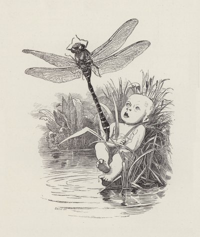 Illustration für Die Wasserkinder von Charles Kingsley von Edward Linley (after) Sambourne