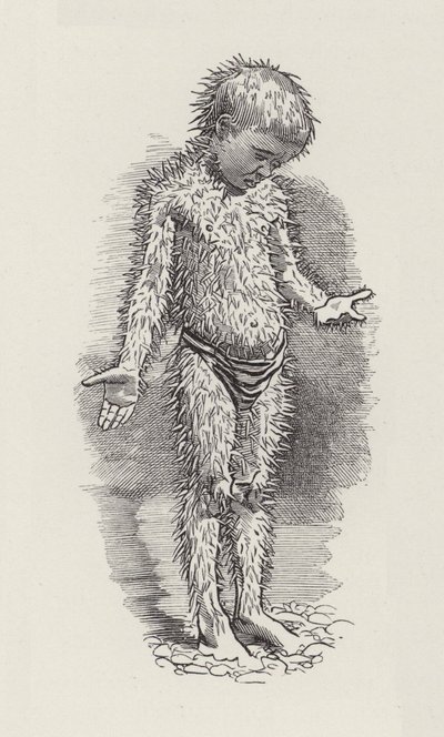Illustration für Die Wasserkinder von Charles Kingsley von Edward Linley (after) Sambourne