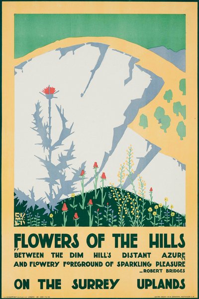 Blumen der Hügel, auf den Surrey-Hochländern von Edward McKnight Kauffer