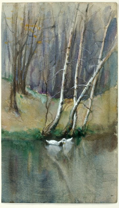 Ohne Titel (Waldszene mit Birken und Enten) von Edward Mitchell Bannister