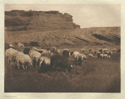 Portfolio I, Tafel 33: Navaho-Herden von Edward S. Curtis