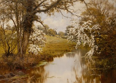 Wo sich breitblättrige Weißdorne fröhlich entfalten von Edward Wilkins Waite