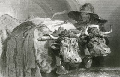 Ochsen am Tank, Genf (Gravur) von Edwin (after) Landseer