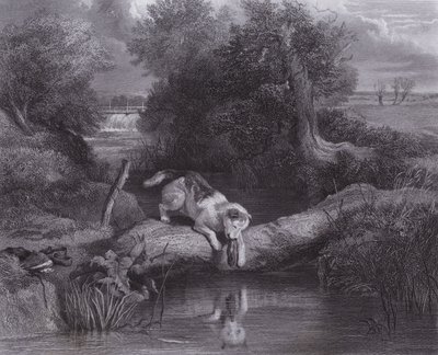 Der Hund und der Schatten von Edwin (after) Landseer