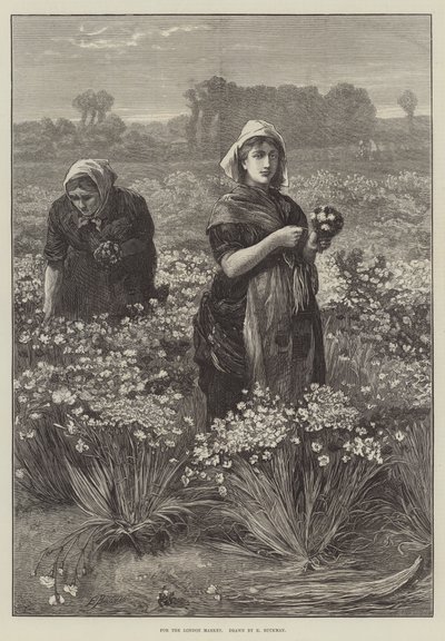 Für den Londoner Markt (Gravur) von Edwin Buckman