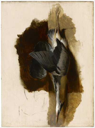 Studie eines toten Reihers von Edwin Landseer