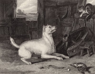 Der Eindringling von Edwin Landseer