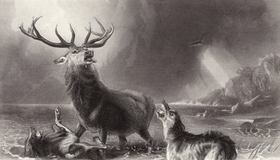 Der Hirsch in der Enge von Edwin Landseer
