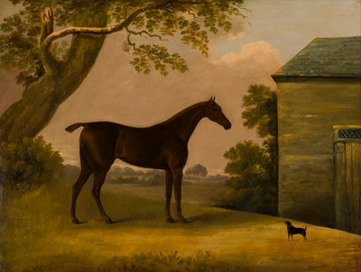 Bay Hunter und ein Terrier vor einem Stall, ca. 1805 von Edwin W. Cooper