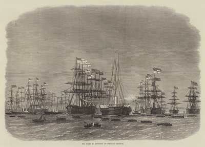 Die Flotte der Panzerschiffe im Hafen von Portland von Edwin Weedon