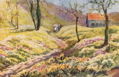 Schweiz von Effie Jardine
