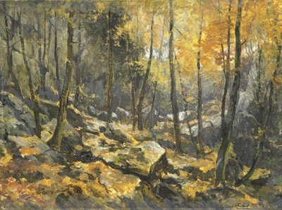 Felsenmeer von Egbert Schaap