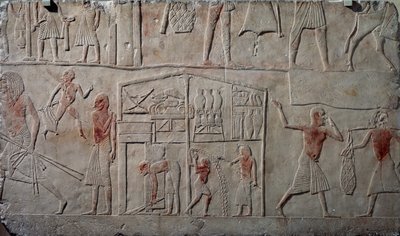 Anordnung von Lebensmitteln in Lagern, Kalkstein-Relief, aus dem memphitischen Grab von Horemheb in Saqqara, ägyptische Zivilisation, Neues Reich, Dynastie XVIII von Egyptian 18th Dynasty