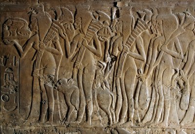 Basrelief aus dem Grab von Maia, Amme von Tutanchamun, Saqqara, Ägypten, ägyptische Zivilisation, Neues Reich, Dynastie XVIII (Detail) von Egyptian 18th Dynasty