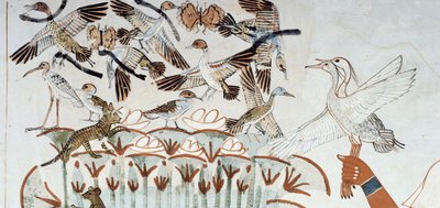 Enten, Nester, Schmetterlinge, Katzen und Nagetiere, Detail aus der Jagd- und Fischereiszene in den Sümpfen, Fresko, Nordwand, Längskammer, Thebanisches Grab TT69, Sheikh Abd el-Qurna, Theben. Ägyptische Zivilisation, Neues Reich, Dynastie XVIII. von Egyptian 18th Dynasty