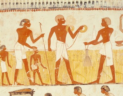 Landvermessung mit Seil, aus der Grabkapelle von Menna, Neues Reich von Egyptian 18th Dynasty