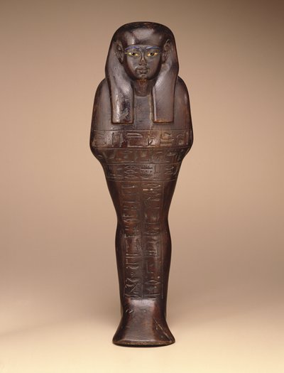 Shawabti von Maya, Neues Reich, ca. 1390-1353 v. Chr. von Egyptian 18th Dynasty