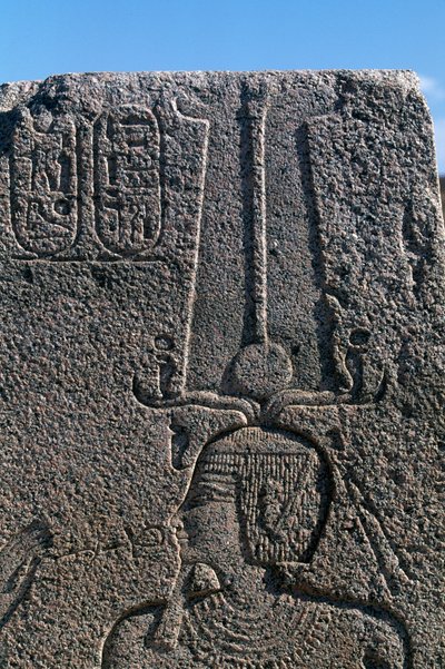 Block mit Reliefs und Inschriften von Ramses II, Großer Tempel von Amun, Tanis, Ägypten, ägyptische Zivilisation, Neues Reich, Dynastie XIX von Egyptian 19th Dynasty