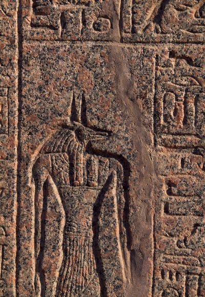 Darstellung von Anubis, Detail der Inschrift und des Reliefs von Anubis und einem anderen Gott, Amenhoteps Sarkophag, Memphis (UNESCO-Welterbeliste) von Egyptian 19th Dynasty