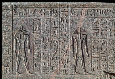 Darstellung von Anubis, Detail der Inschrift und des Reliefs von Anubis und einem anderen Gott, Sarkophag von Amenhotep, Memphis, Ägypten, Neues Reich, Dynastie XIX von Egyptian 19th Dynasty