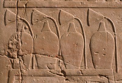 Detail eines Reliefs, das Krüge und Lotusblumen zeigt von Egyptian 19th Dynasty