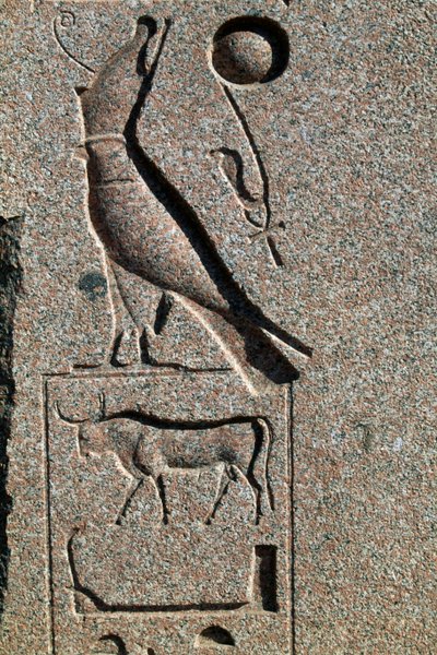 Hieroglyphe mit dem Namen von Horus, Großer Tempel von Amun, Tanis, Ägypten, Neues Reich, Dynastie XIX von Egyptian 19th Dynasty